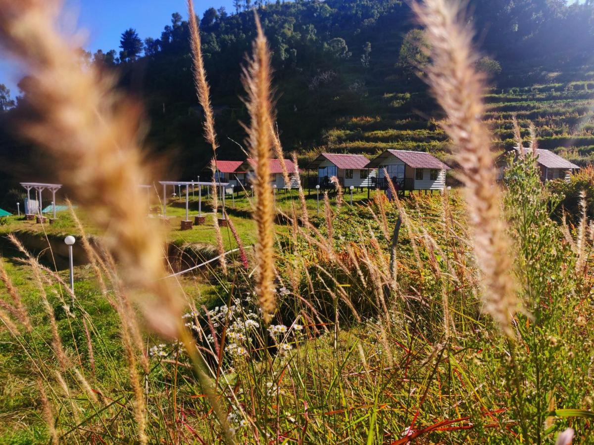 The Hillside Cottages Kanatal Ngoại thất bức ảnh